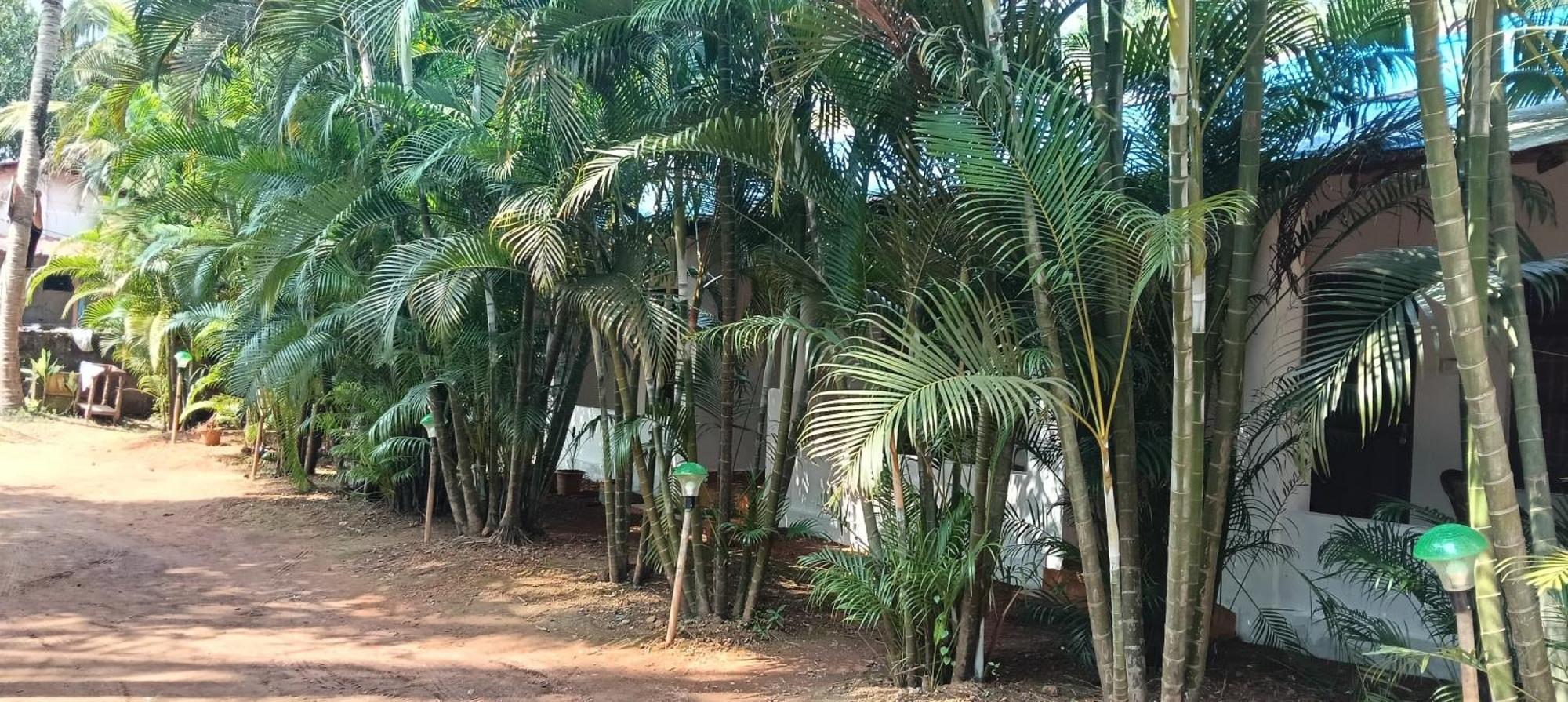 Casa Beach Hut Resort Palolem Exterior photo